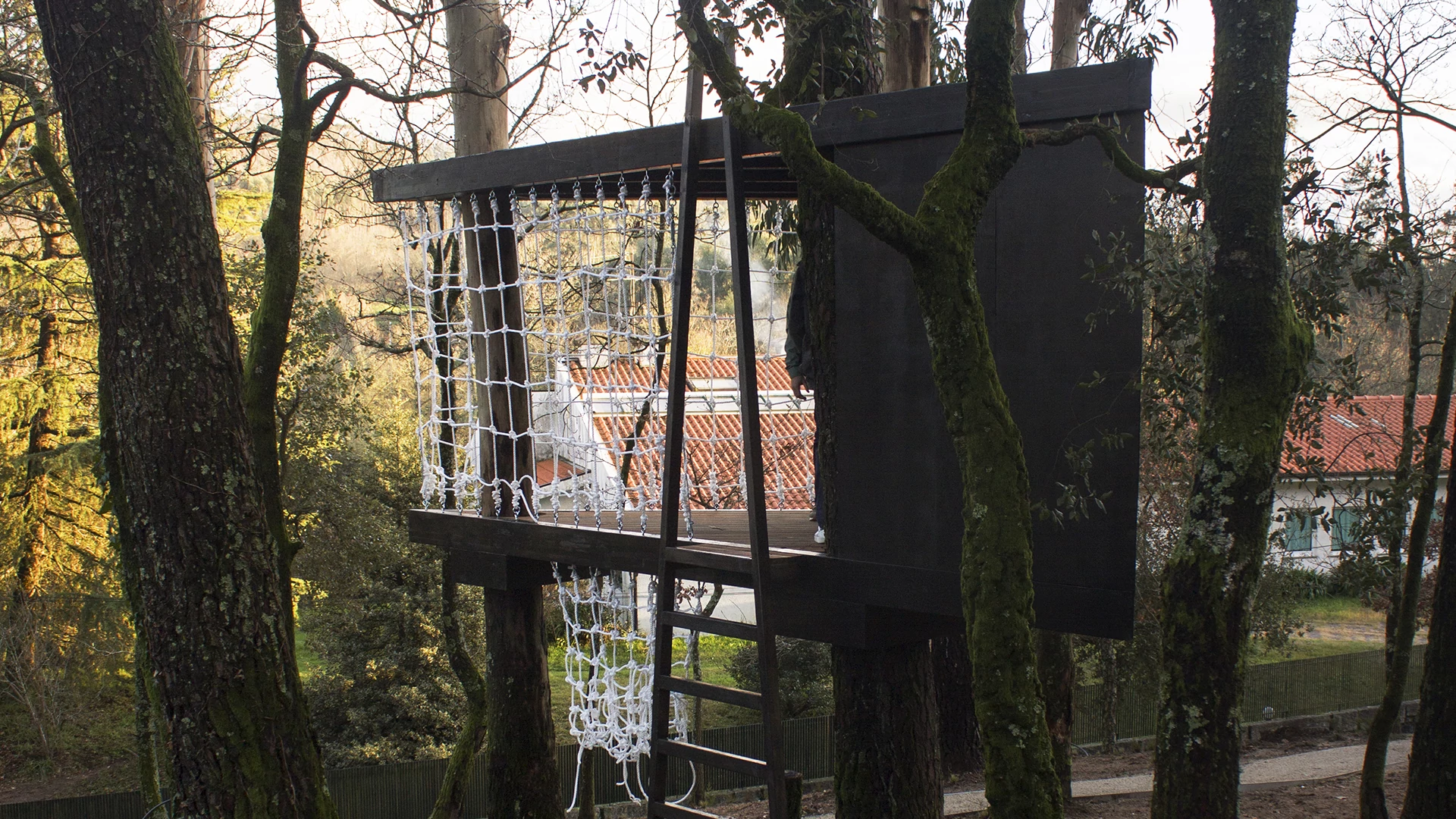 Casa del Arbol - Imagem 2